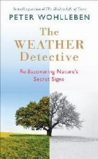 Weather Detective