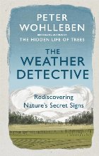 Weather Detective