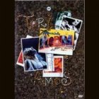 Welcome To Sunnt Florida DVD