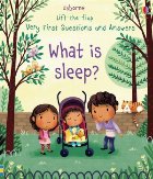What sleep