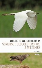 Where Watch Birds Somerset Gloucestershire