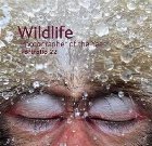 Wildlife Photographer the Year Portfolio