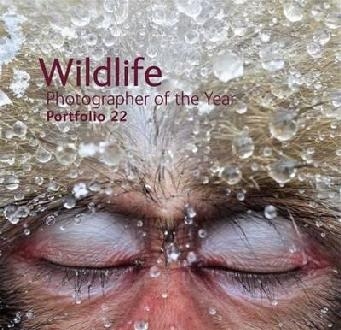 Wildlife Photographer of the Year Portfolio 22