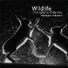 Wildlife Photographer the Year: Highlights