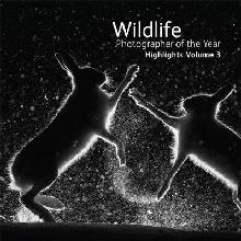 Wildlife Photographer of the Year: Highlights