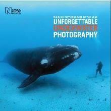 Wildlife Photographer of the Year: Unforgettable Underwater