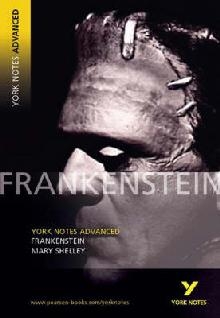 YNA2 Frankenstein