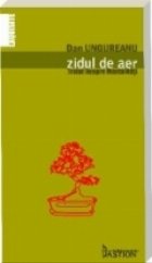 Zidul aer