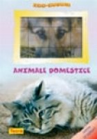 Zoo cuburi Animale domestice