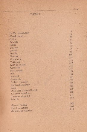 cuprins.jpg
