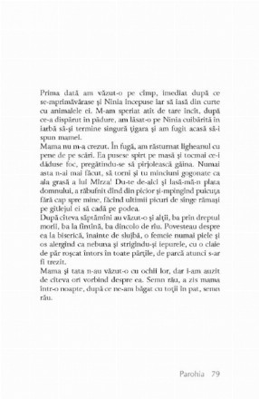 fragment_3.jpg