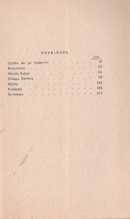 cuprins.jpg