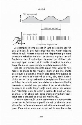 de-ce-baloanele-se-ridica-iar-merele-cad-legile-care-fac-lumea-sa-functioneze_10278_5_1617371355.jpg