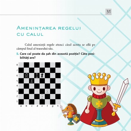 sah-pentru-nceptori_10392_5_1620997294335.jpg