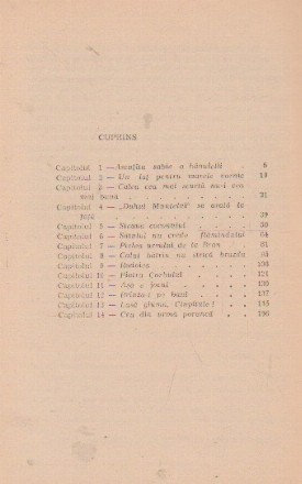 cuprins.jpg